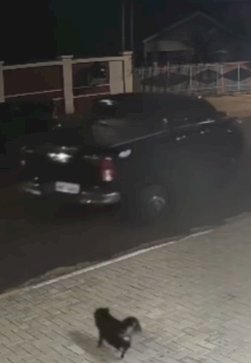 Polícia mobiliza forças da fronteira após furto de caminhonete em Nova Santa Rosa