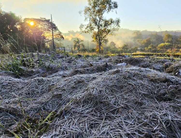 Paraná registra mais uma madrugada gelada com temperaturas abaixo de 5 °C, com geada fraca em Marechal Rondon