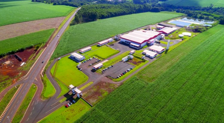Frimesa fará entrevistas de emprego em Nova Santa Rosa para vagas em Marechal Rondon