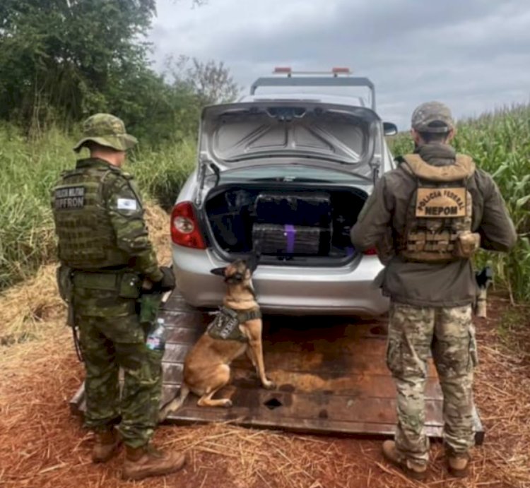 BPFRON apreende 300 quilos de maconha em operação conjunta em Guaíra