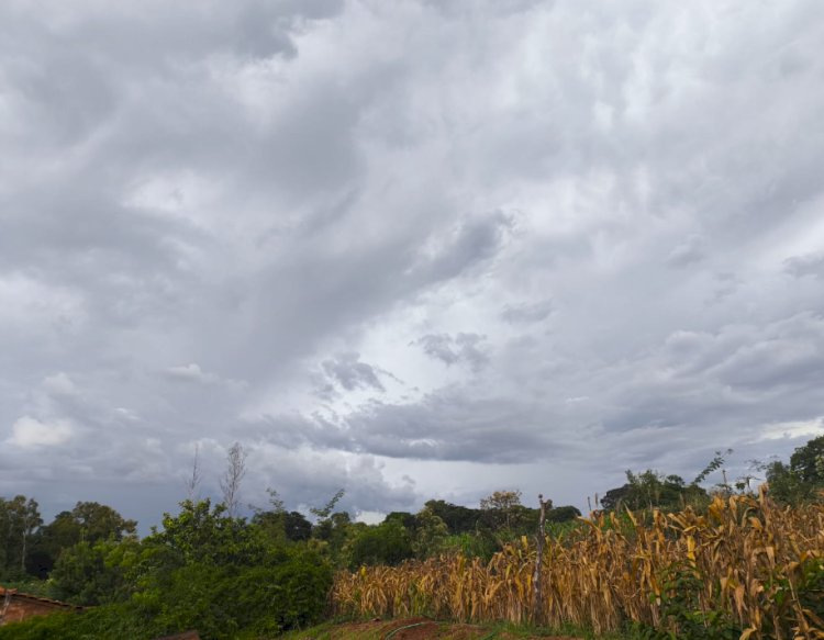 Confira  os volumes de Chuva  registrados de ontem( 25) para hoje (26) em localidades da região de Marechal Rondon e Toledo