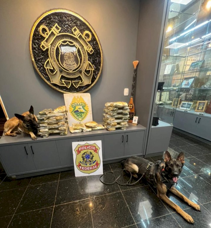 Ação integrada apreende 33,5 kg de maconha em ônibus na Ponte Ayrton Senna e prende jovem em Guaíra