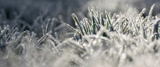INVERNO CHEGOU: Simepar prevê inverno de 2026 mais chuvoso no Paraná, com temperaturas ligeiramente acima da média