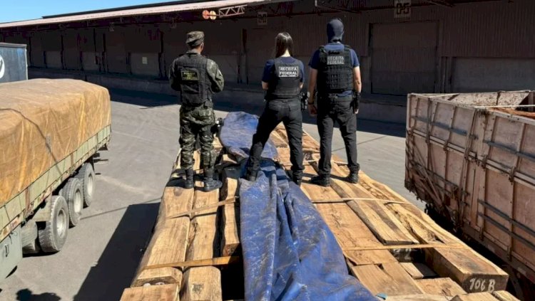 Receita retém 260 toneladas de madeira com indícios de cocaína em operação com Brasil, EUA e Bolívia