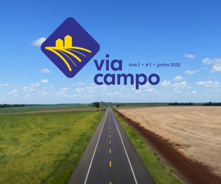 Carreta carregada com frango congelado tomba  e  acidentes simultâneos causam interdição parcial e trânsito lento em rodovia