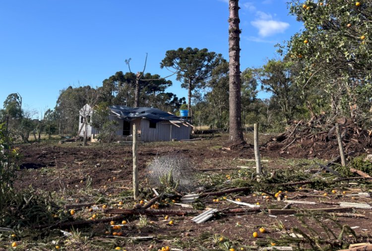 Simepar classifica como F2 o tornado que devastou Reserva e ventos atingiram quase 200 km/h