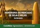 PANORAMA ESTRATÉGICO DO MERCADO DE SOJA E MILHO 19/08/2025
