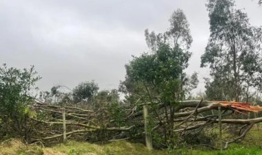 Tornado com ventos de até  150 KM por hora, pode ter atingido cidade Gaúcha