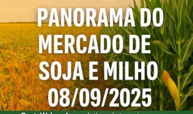 Panorama do Mercado de Soja e Milho 08/09/2025