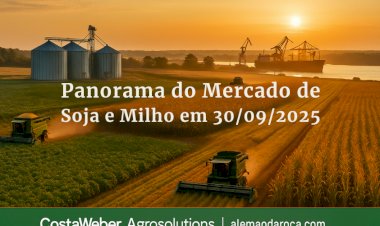 Panorama do Mercado de Soja e Milho em 30/09/2025