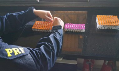 PRF de Cascavel  apreende veículo  que levava produtos para emagrecimento que saiu de Guaíra