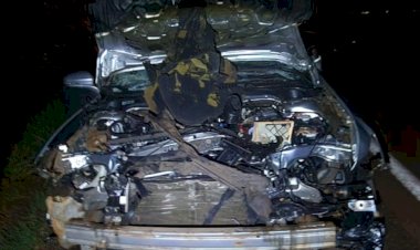 Segundo acidente ontem na região de Maripá  resulta em carro destruído e animal morto