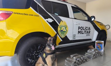 Operação Protetor: PMPR apreende quase 30 kg de maconha e prende dois homens na PR-323, em Iporã