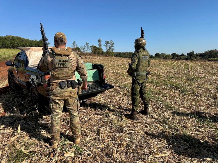 Mais de trezentos quilos de maconha são localizados em veículo abandonado na região