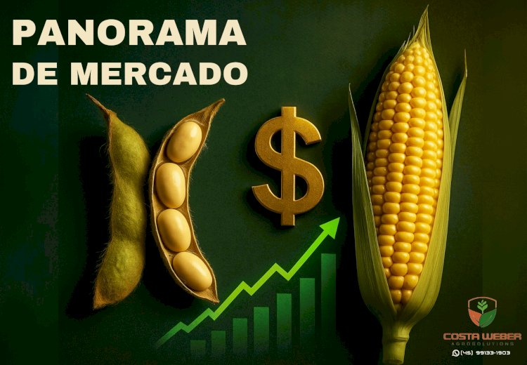 Panorama do mercado de milho e soja – 24/07/2025