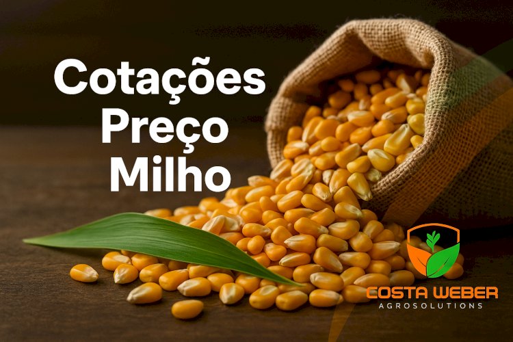 Cotação Preço de MILHO em 25.07.2025