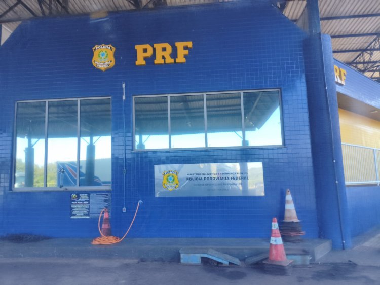 PRF e PMPR apreendem mais de 1,2 tonelada de maconha em ação conjunta no oeste do Paraná