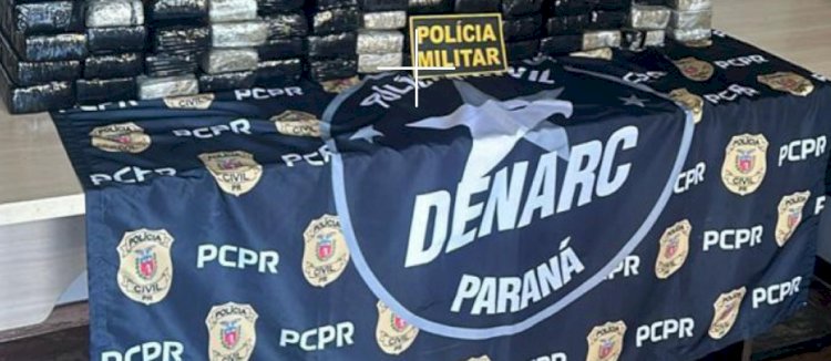 Denarc causou prejuízo de mais de R$ 90 milhões ao tráfico no primeiro semestre de 2025