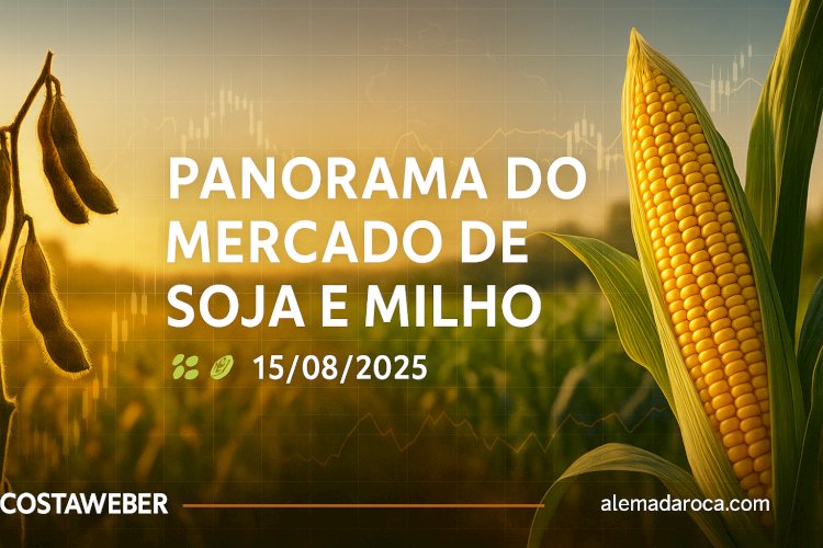 PANORAMA DO MERCADO DE SOJA E MILHO PARA 15/08/2025