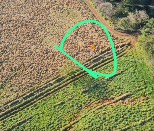 Empresário de Medianeira morre em acidente de paramotor em Missal