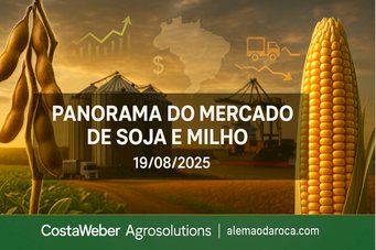 PANORAMA ESTRATÉGICO DO MERCADO DE SOJA E MILHO 19/08/2025