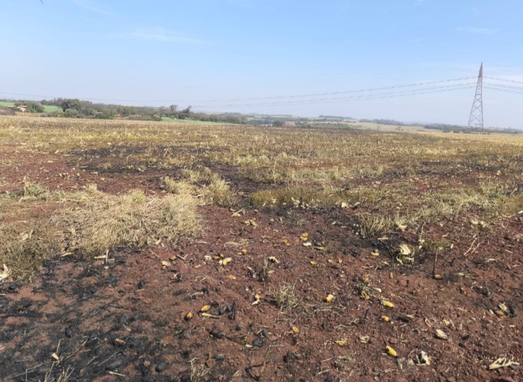 Fio de alta tensão se rompe e provoca incêndio e deixa  moradores  sem  luz no interior de Marechal Rondon