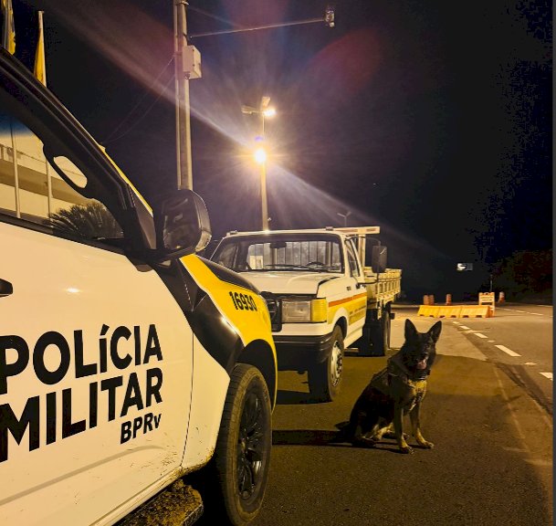 F-4000 furtada com placas de Santa Catarina é recuperada pela PRE na região