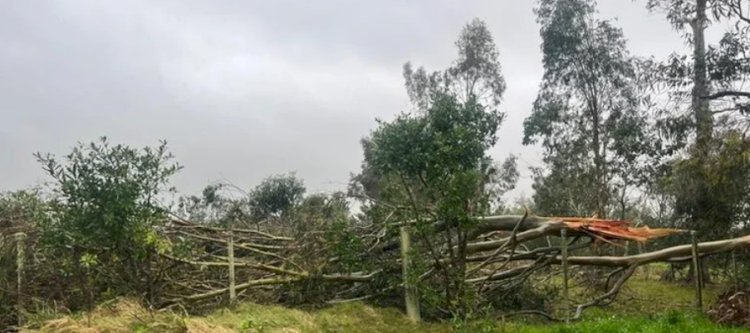 Tornado com ventos de até  150 KM por hora, pode ter atingido cidade Gaúcha
