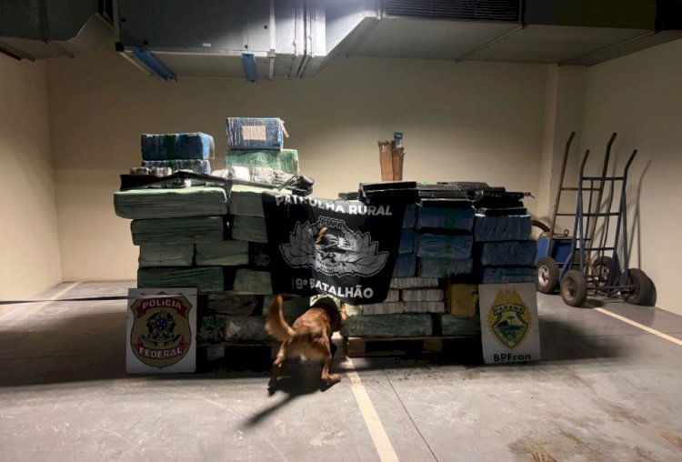Atualizado: Homem é preso e mais de 1,5 tonelada de drogas são apreendidas em chácara de Nova Santa Rosa