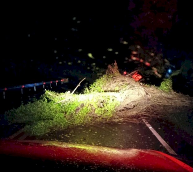 Temporal causa queda de árvore, interrupção de rodovia e falta de energia na região oeste