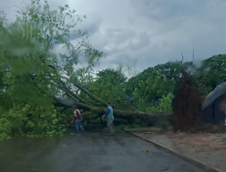 TEMPORAL PROVOCA ESTRAGOS E DEIXA CIDADES DO OESTE DO PARANÁ SEM ENERGIA ELÉTRICA