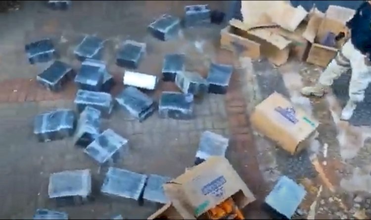 PRF apreende quase 2 toneladas de maconha, 600 garrafas de vinho e celulares no Paraná