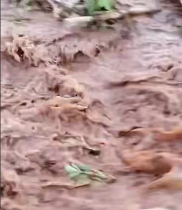 Chuva supera 100 mm em diversas regiões do Paraná, aponta Simepar