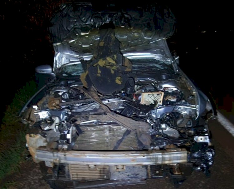 Segundo acidente ontem na região de Maripá  resulta em carro destruído e animal morto