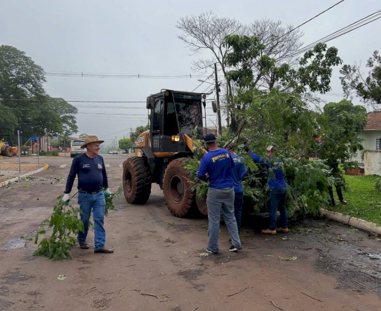 Após temporal, Prefeitura de Mercedes intensifica limpeza e remoção de árvores