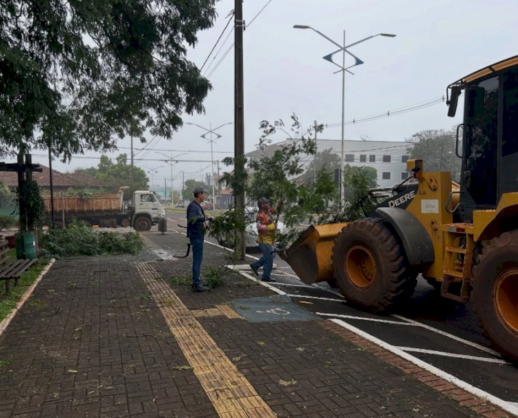 Após temporal, Prefeitura de Mercedes intensifica limpeza e remoção de árvores
