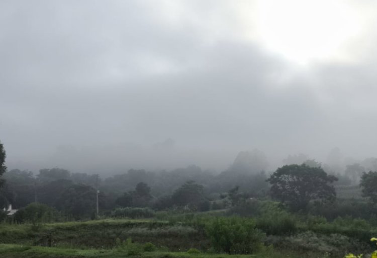 Previsão do Tempo: iniciou com temperaturas a menos  e neblina  na microrregião de  Marechal Cândido Rondon