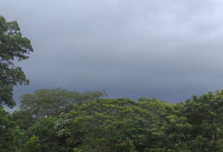 Chuvas elevam acumulados e já superam 300 mm na microrregião de Marechal Cândido Rondon